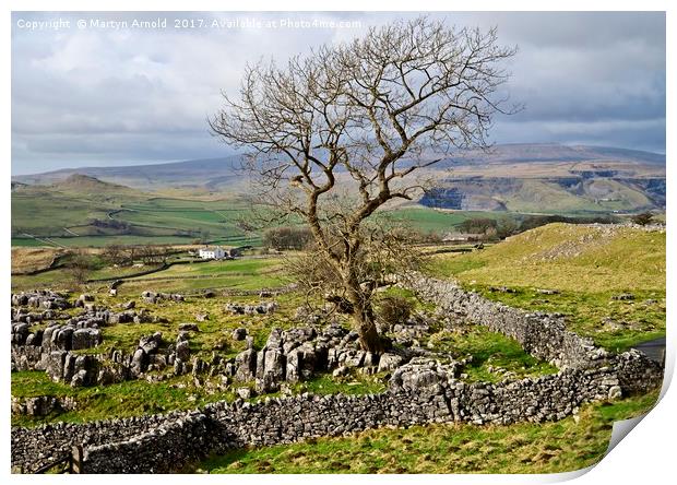 Yorkshire Dales Landscape - Malhamdale Print by Martyn Arnold