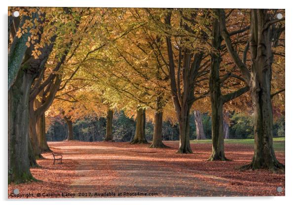 Autumn on Clifton Down, Bristol Acrylic by Carolyn Eaton