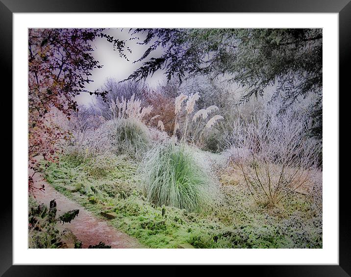 December Frost Framed Mounted Print by Nicola Clark
