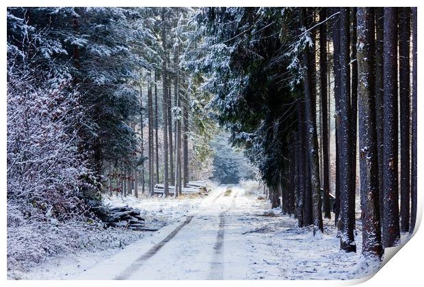 Road in winter forest in national park "Sumava". Print by Sergey Fedoskin