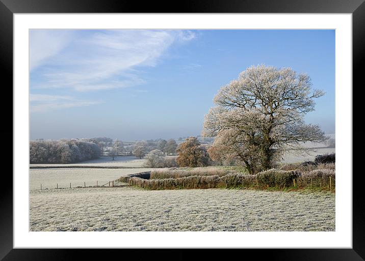 Frosty morning in Devon Framed Mounted Print by Pete Hemington