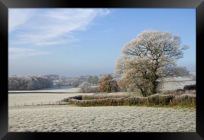 Frosty morning in Devon Framed Print by Pete Hemington