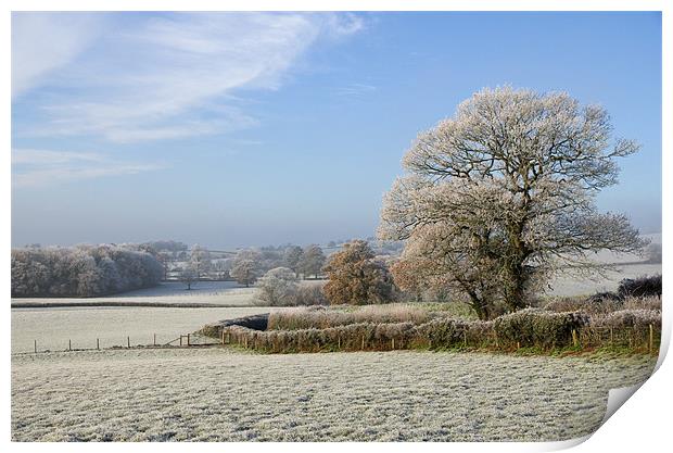 Frosty morning in Devon Print by Pete Hemington