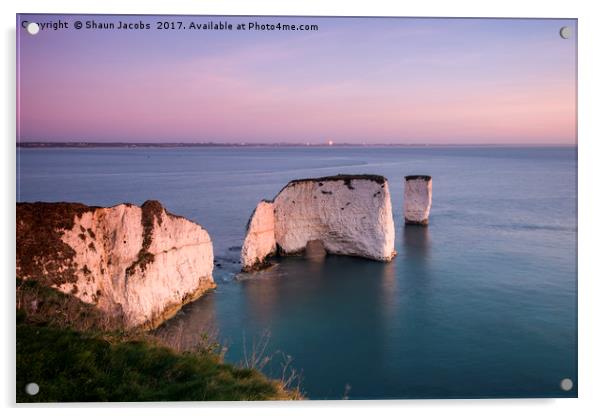 Old Harry Rock  Acrylic by Shaun Jacobs