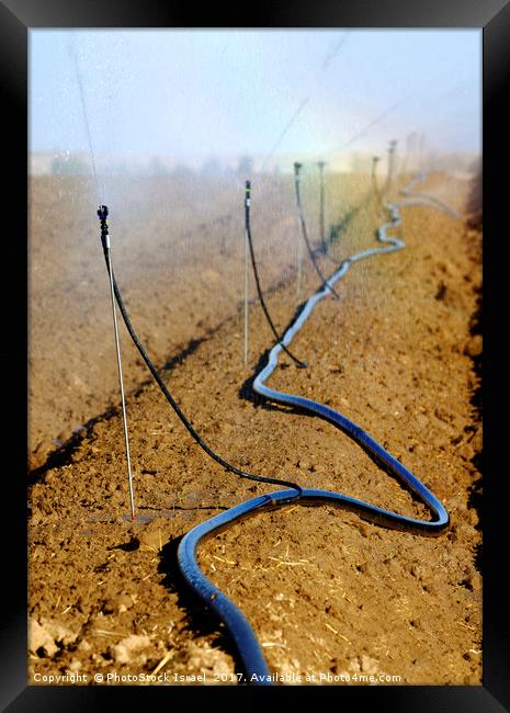 Israel, Negev, watering fields with sprinklers Framed Print by PhotoStock Israel