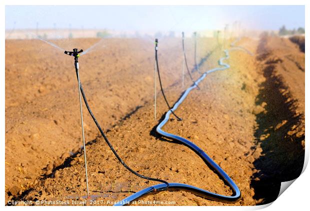 Israel, Negev, watering fields with sprinklers Print by PhotoStock Israel