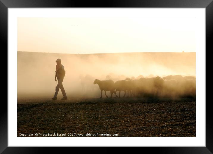 Israel, Negev, Bedouin shepherd Framed Mounted Print by PhotoStock Israel
