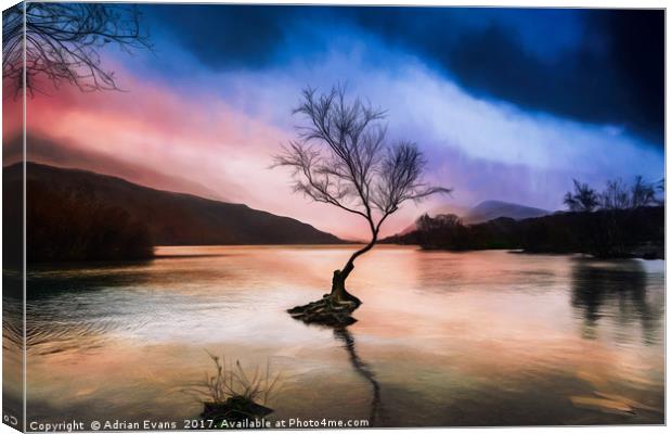 Llanberis Lake Tree Canvas Print by Adrian Evans