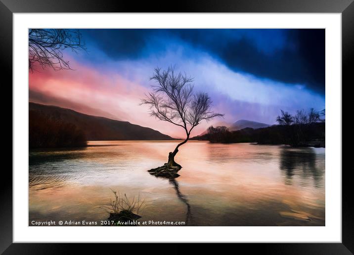 Llanberis Lake Tree Framed Mounted Print by Adrian Evans
