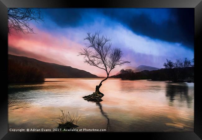 Llanberis Lake Tree Framed Print by Adrian Evans