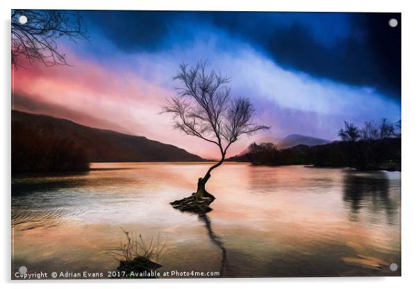 Llanberis Lake Tree Acrylic by Adrian Evans