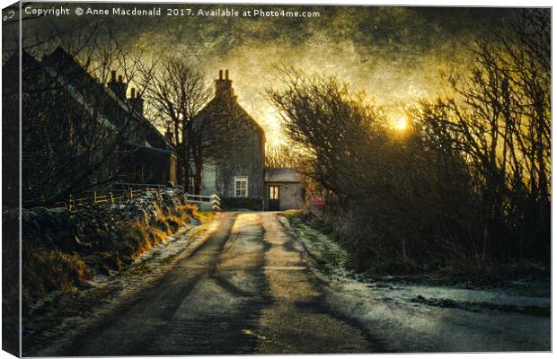 The House In The Trees at Veensgarth, Shetland. Canvas Print by Anne Macdonald