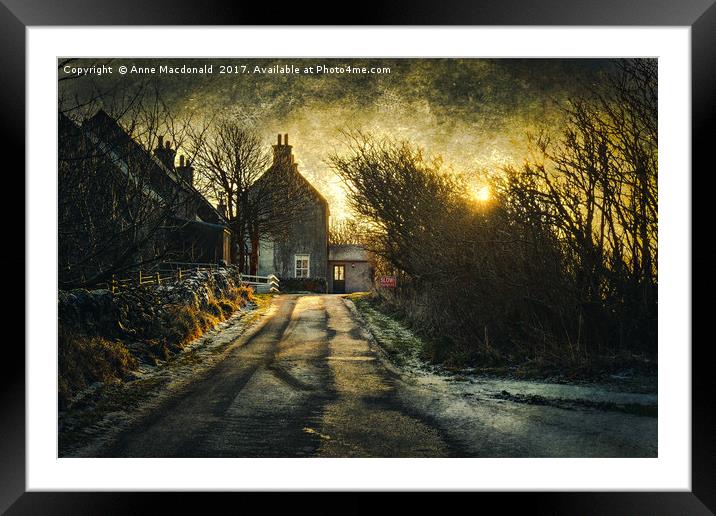 The House In The Trees at Veensgarth, Shetland. Framed Mounted Print by Anne Macdonald