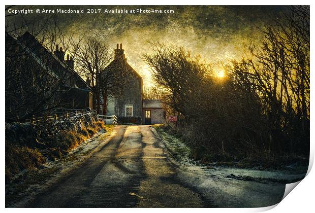 The House In The Trees at Veensgarth, Shetland. Print by Anne Macdonald