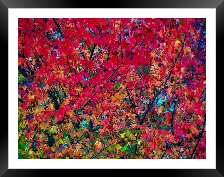 Autumn Leaves   Framed Mounted Print by Victor Burnside