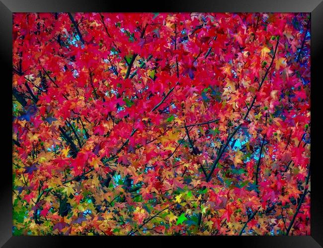 Autumn Leaves   Framed Print by Victor Burnside
