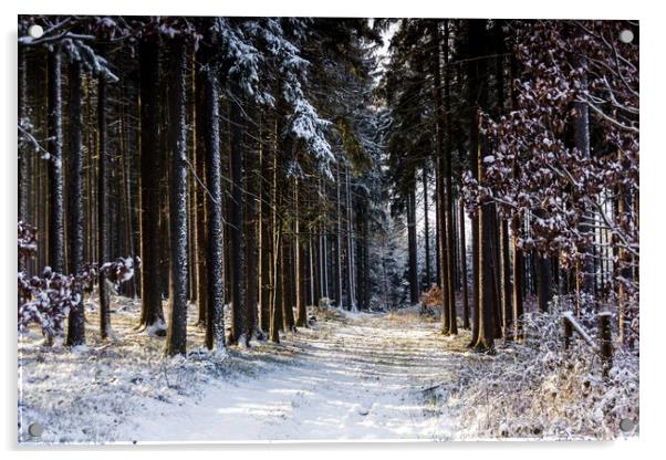 Road in winter forest in national park "Sumava". Acrylic by Sergey Fedoskin