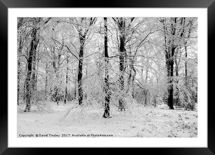 Winter Wonderland in Monochrome Framed Mounted Print by David Tinsley