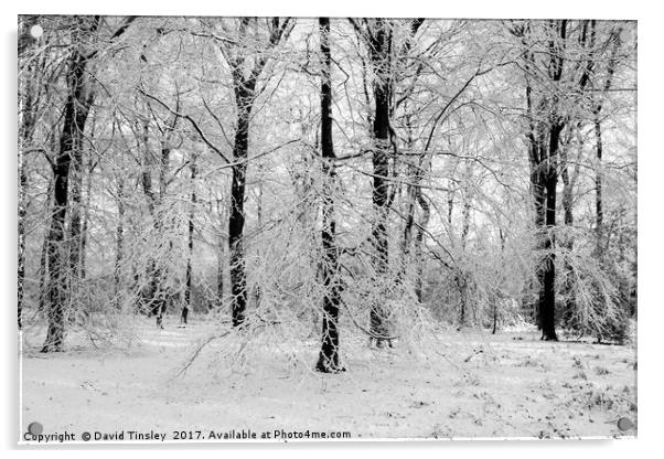 Winter Wonderland in Monochrome Acrylic by David Tinsley