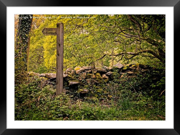 The Footpath Less Travelled Framed Mounted Print by Martyn Arnold