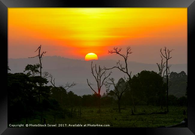  Kenya Sun set Framed Print by PhotoStock Israel