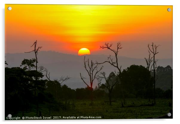  Kenya Sun set Acrylic by PhotoStock Israel