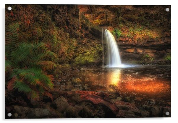Sgwd Gwladus waterfall AKA Lady Falls  Acrylic by Leighton Collins