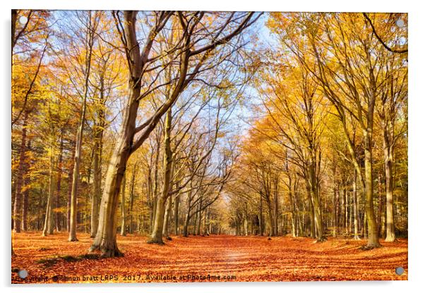 Autumn woodland red leaves Acrylic by Simon Bratt LRPS