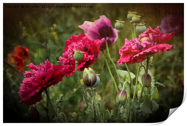 Vibrant Wild Poppies Print by Jim Jones
