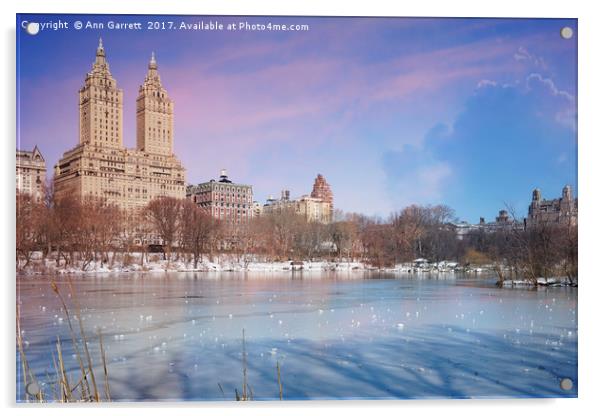 Central Park Ice New York Acrylic by Ann Garrett