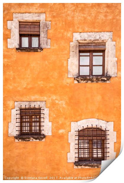 Windows Print by Svetlana Sewell