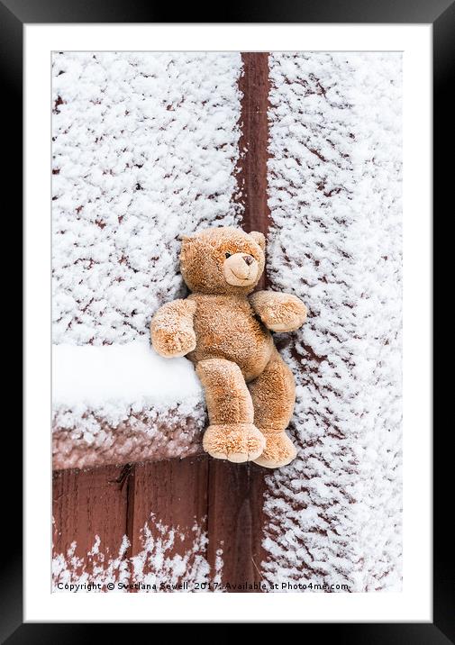 Teddy Bear Framed Mounted Print by Svetlana Sewell