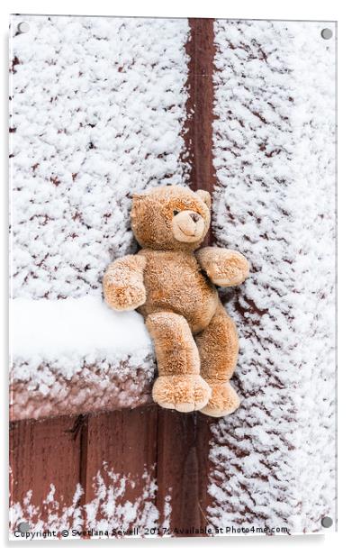 Teddy Bear Acrylic by Svetlana Sewell