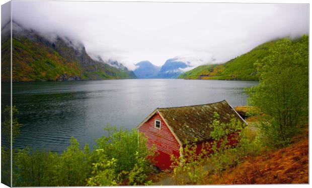 AURLANDSFJORD  VIEW Canvas Print by Anthony Kellaway