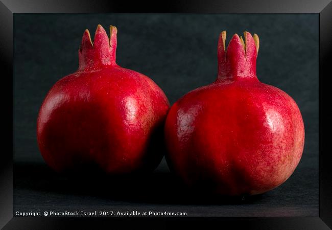 Two ripe pomegranates Framed Print by PhotoStock Israel