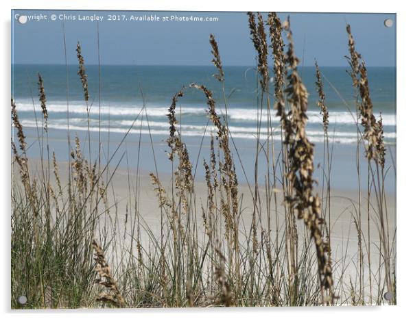 From the Grassy Dunes, Neptune Beach, Florida Acrylic by Chris Langley