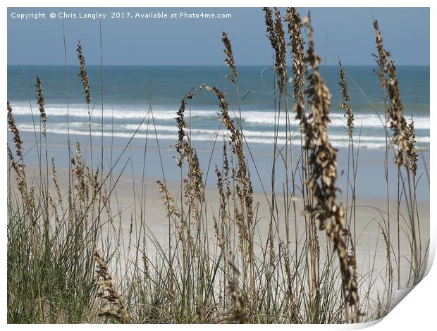 From the Grassy Dunes, Neptune Beach, Florida Print by Chris Langley