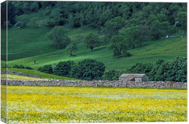 Littondale Flower Meadows and Barn Yorkshire Dales Canvas Print by Nick Jenkins