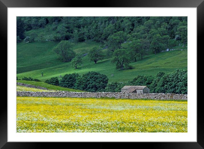 Littondale Flower Meadows and Barn Yorkshire Dales Framed Mounted Print by Nick Jenkins