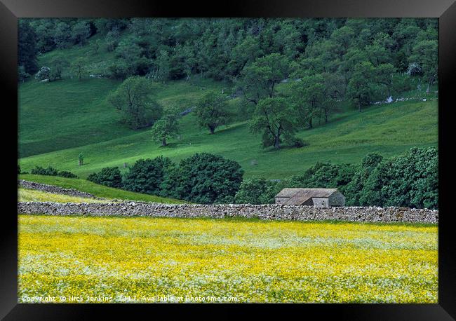 Littondale Flower Meadows and Barn Yorkshire Dales Framed Print by Nick Jenkins