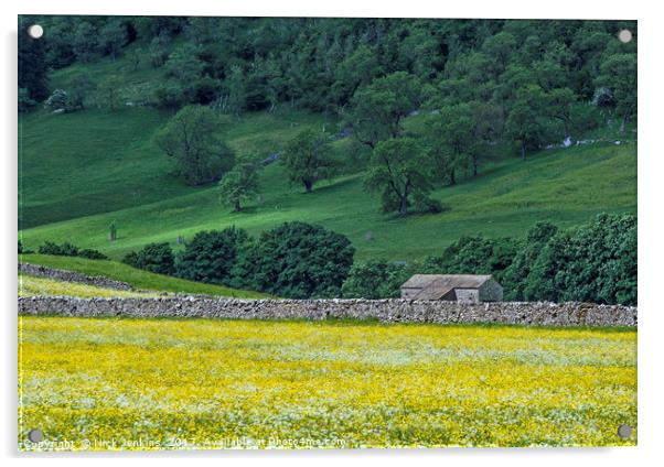 Littondale Flower Meadows and Barn Yorkshire Dales Acrylic by Nick Jenkins