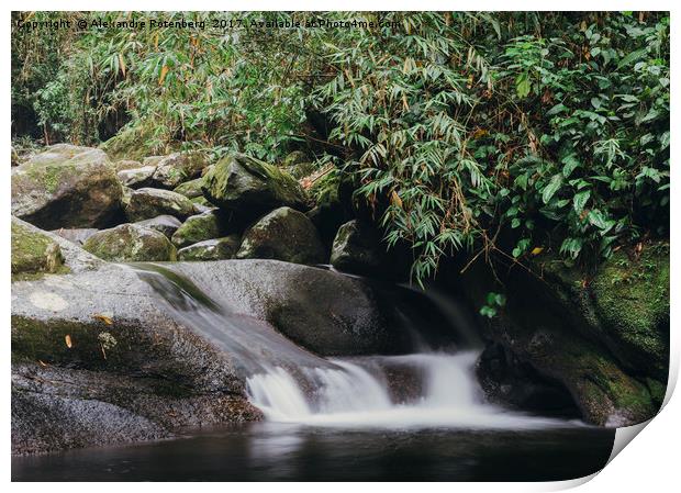 Relaxing zen stream in forest Print by Alexandre Rotenberg