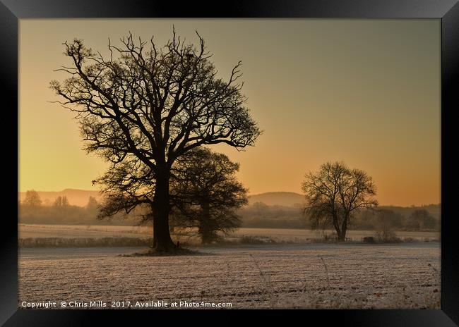 Frosty Sunrise Framed Print by Chris Mills