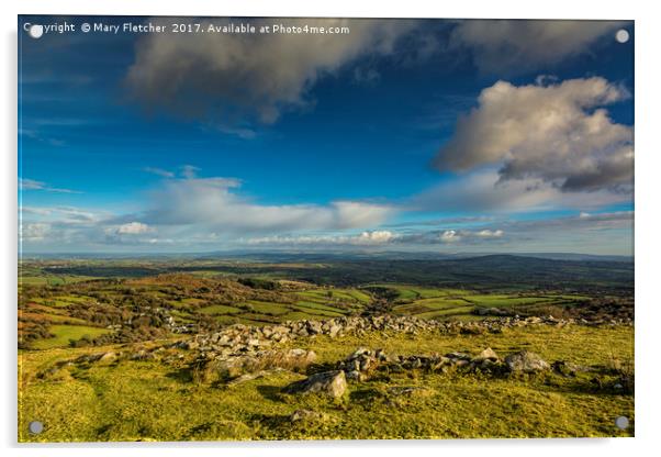 Dartmoor Views Acrylic by Mary Fletcher