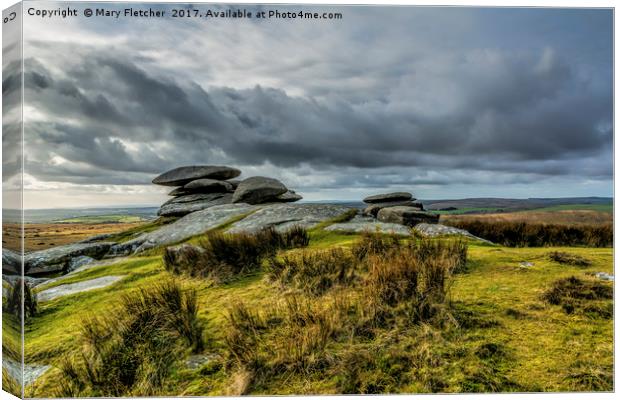 Flat Stones on Bodmin Canvas Print by Mary Fletcher