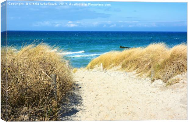 Path Through the Dunes to the Sea Canvas Print by Gisela Scheffbuch