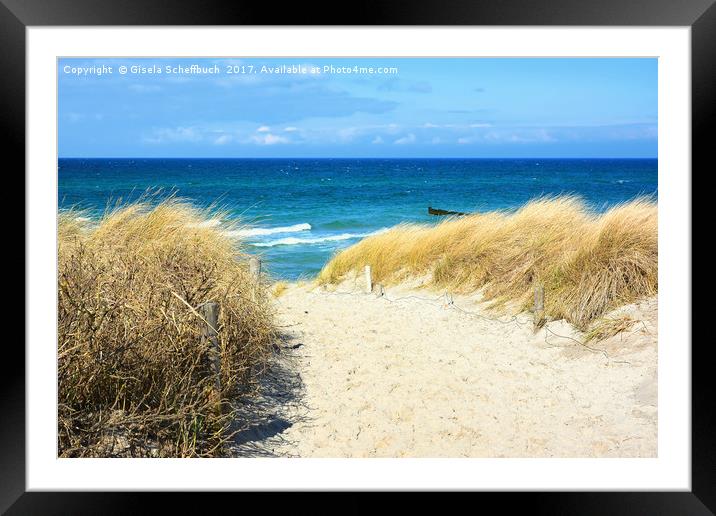 Path Through the Dunes to the Sea Framed Mounted Print by Gisela Scheffbuch