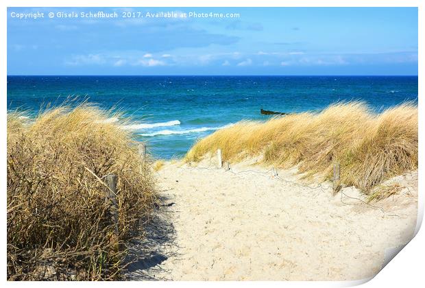 Path Through the Dunes to the Sea Print by Gisela Scheffbuch
