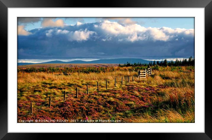 "Evening light across Alston Moor" Framed Mounted Print by ROS RIDLEY