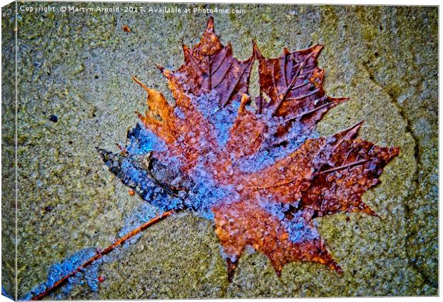 Frozen Leaf on Stone Canvas Print by Martyn Arnold